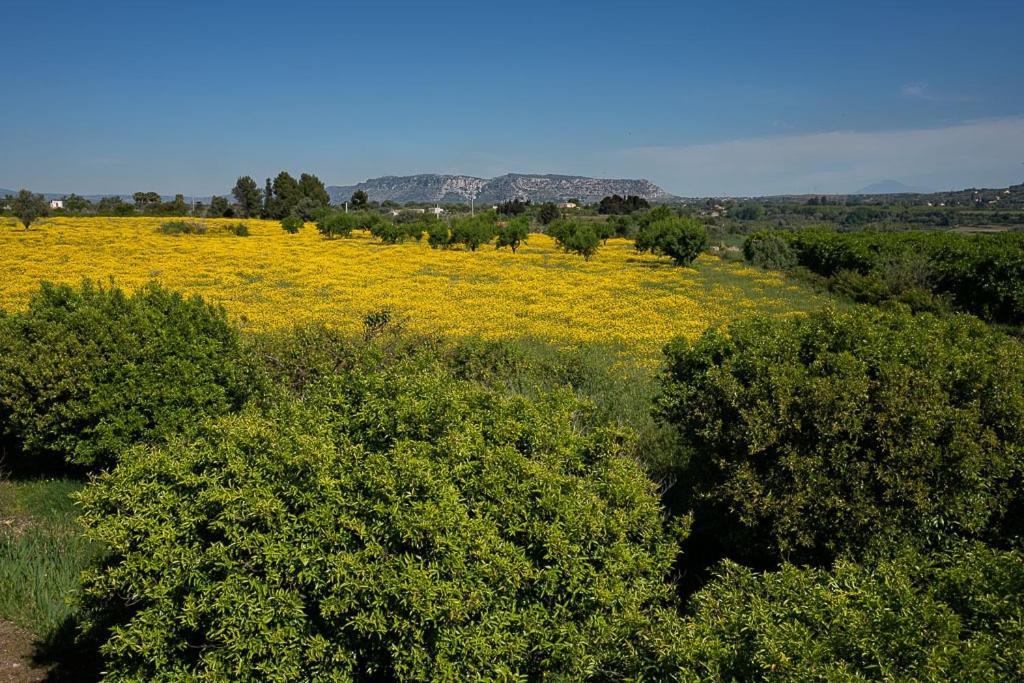 Farm Stay La Frescura Agriturismo 시라쿠사 외부 사진